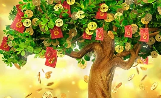 Capa de Tree Of Fortune